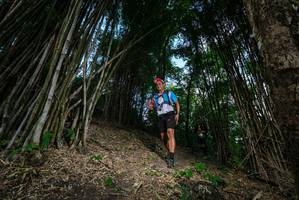 BIB: 
                            <button type="button" onclick="openModal(19395563)" class="btn btn-primary btn-sm float-right btn-popup" data-toggle="modal" data-target=".modal-high-quality">
                        <i class="fas fa-shopping-cart"></i> Add to Cart
                    </button>
                                            <button type="button" onclick="isThisMe(19395563, true)" class="btn btn-success btn-sm float-right btn-popup btn-isme hidden" data-toggle="tooltip" data-placement="bottom" title="นี่คือรูปของคุณใช่ไหม คลิกที่นี่เพื่อเอาเข้าอัลบั้ม">
                        <i class="fas fa-plus"></i> Add to album
                    </button>
                    <button type="button" onclick="isThisMe(19395563, false)" class="btn btn-warning btn-sm float-right btn-popup btn-isnotme hidden">
                        <i class="fas fa-ban"></i> Remove from album
                    </button>